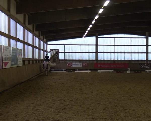 Reitturnier Werdohl-Rentrop 2022