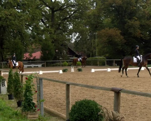 Reitturnier Diessen 2022
