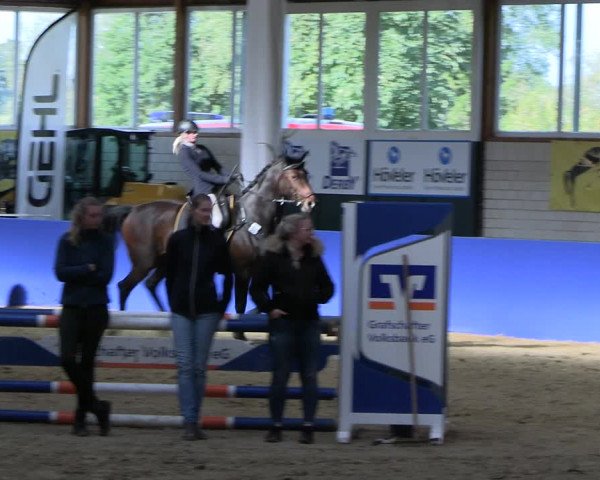 Reitturnier Isterberg Euregio Springturnier 2022