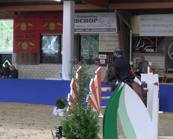 Reitturnier Isterberg Euregio Springturnier 2022