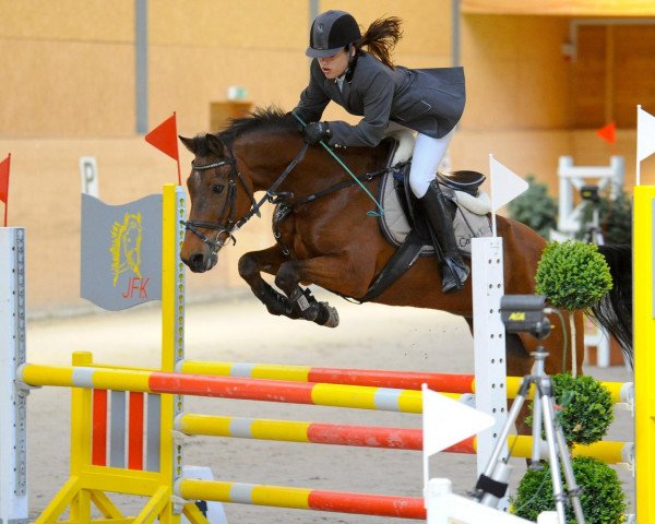 Hest Calypso (Tysk ridepony, 1991, fra Condor)