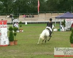 jumper Diana 1031 (German Riding Pony, 2000, from Duke)