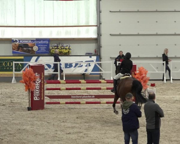 Reitturnier Borken 2022