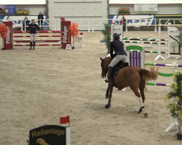 Reitturnier Borken 2022