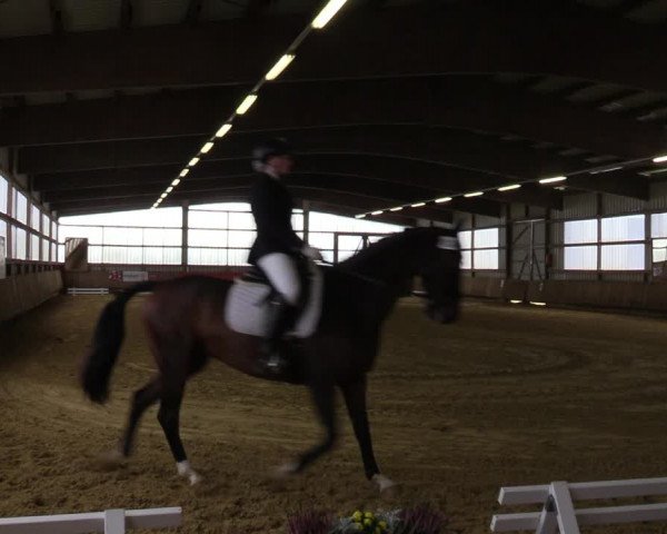 Reitturnier Werdohl-Rentrop 2022