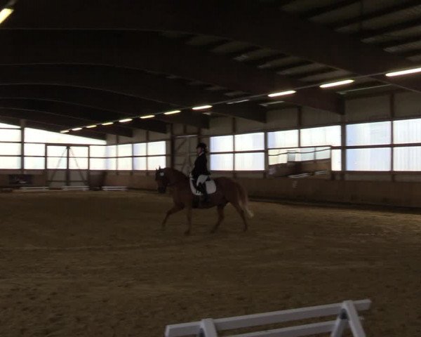 Reitturnier Werdohl-Rentrop 2022