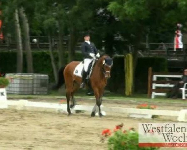 broodmare Ubertina 2 (KWPN (Royal Dutch Sporthorse), 2001, from Ahorn)