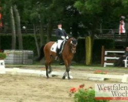 broodmare Ubertina 2 (KWPN (Royal Dutch Sporthorse), 2001, from Ahorn)