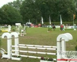 Dressurpferd Der Botte (Deutsches Reitpony, 2003, von Dornik-Double)
