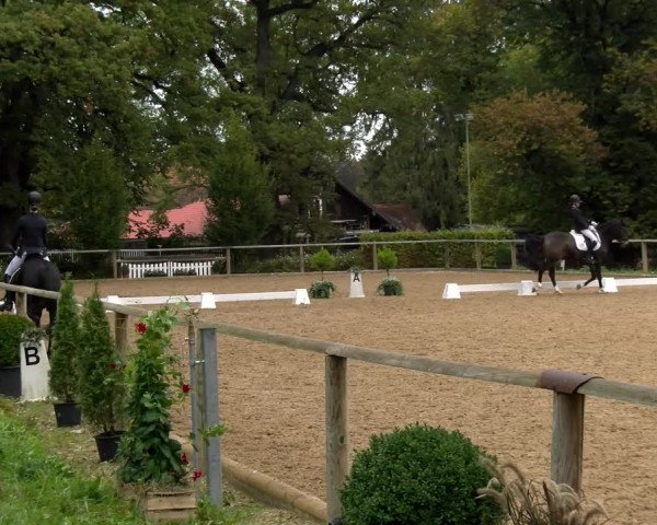 Reitturnier Diessen 2022