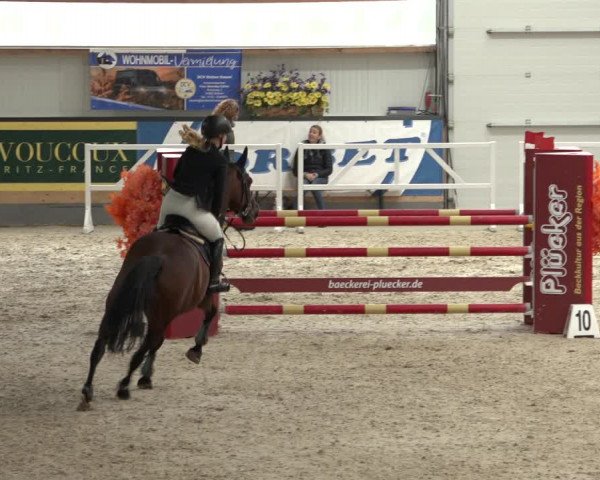 Reitturnier Borken 2022