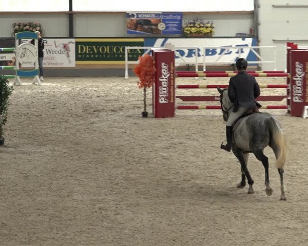 Reitturnier Borken 2022