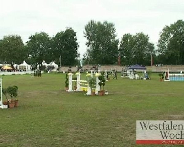 broodmare Carina S (Westphalian, 2005, from Top Karetino)