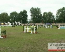 Zuchtstute Carina S (Westfale, 2005, von Top Karetino)