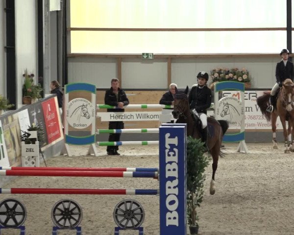Reitturnier Borken 2022