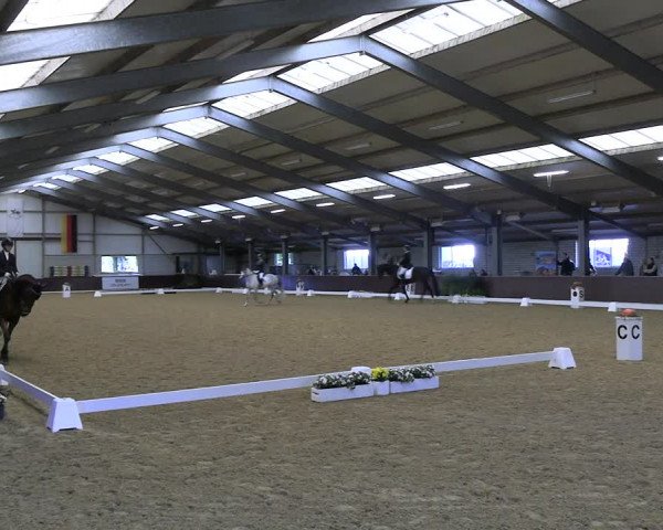Reitturnier Kirchhellen 2022