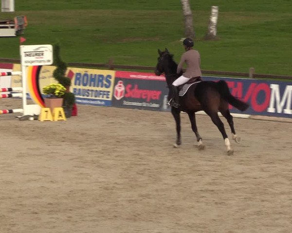 Reitturnier Westergellersen 2022