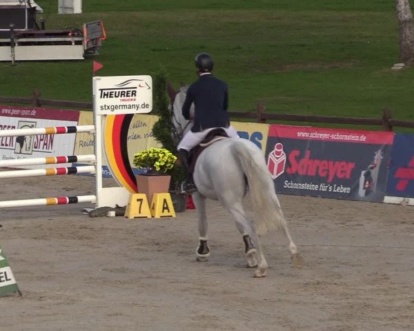 Reitturnier Westergellersen 2022