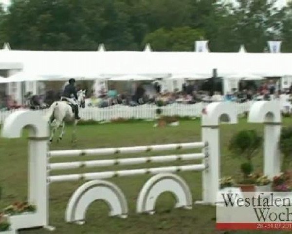 stallion Verdi 49 (Oldenburg, 1999, from Vivaldi) stallion Verdi 49 (Oldenburg, 1999, from Vivaldi)