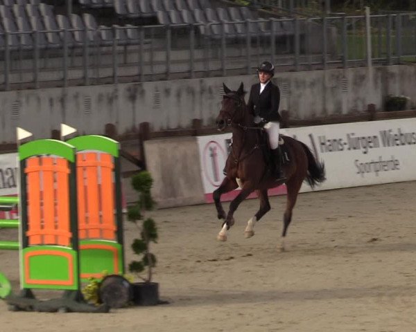 Reitturnier Westergellersen 2022