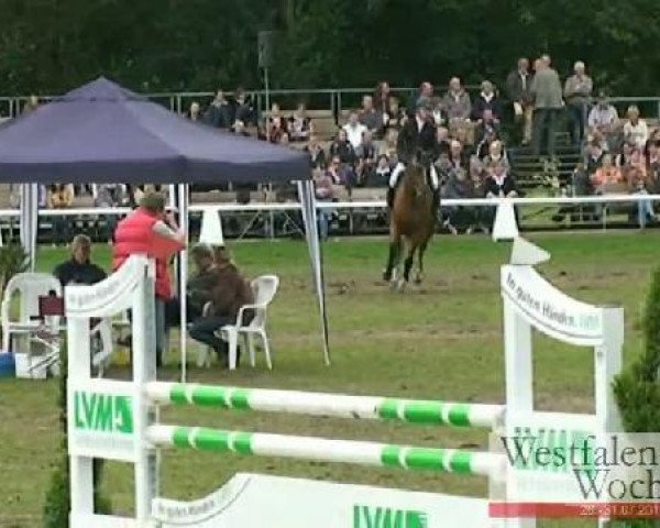 jumper Locsley 2 (Hanoverian, 2000, from Landor S)