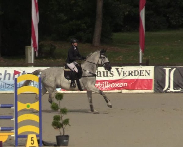 Reitturnier Westergellersen 2022
