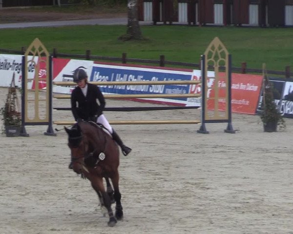 Reitturnier Westergellersen 2022