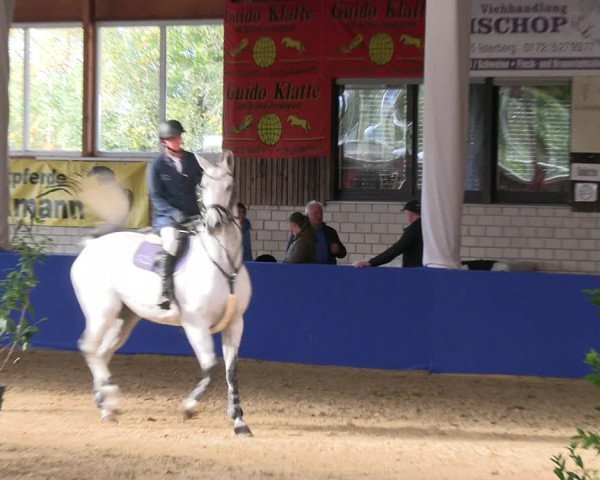Reitturnier Isterberg Euregio Springturnier 2022