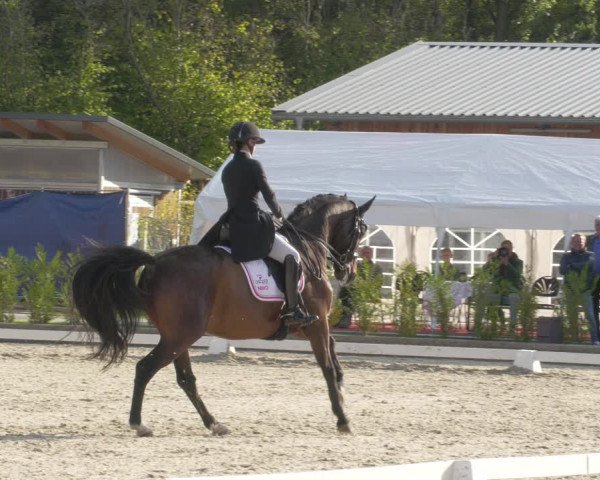 Reitturnier Troisdorf - Haus Rott 2022