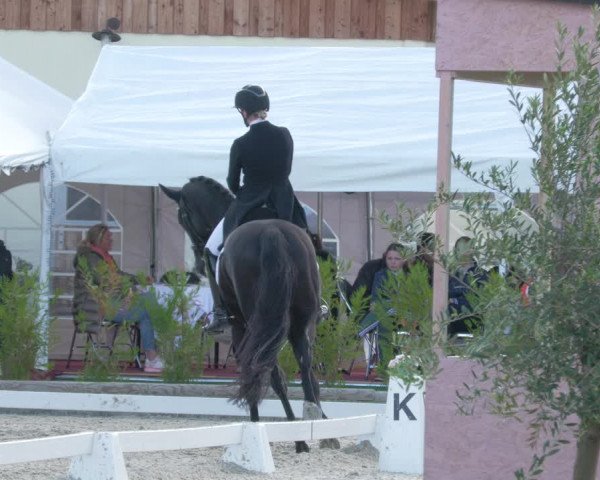 Reitturnier Troisdorf - Haus Rott 2022