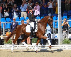 broodmare Marbella 35 (Oldenburg, 2019, from Foundation 2)