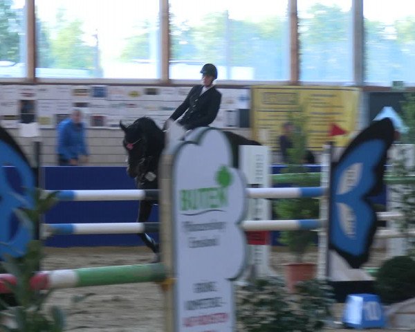 Reitturnier Isterberg Euregio Springturnier 2022