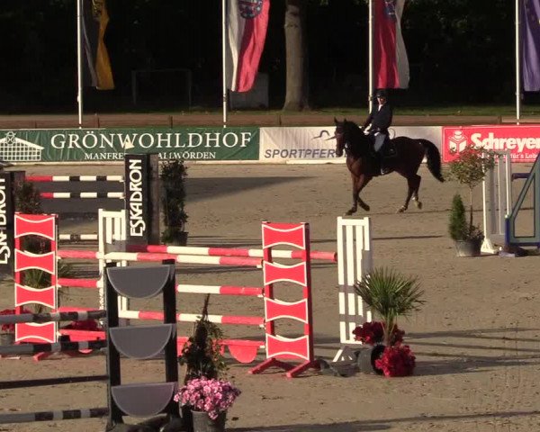 Reitturnier Westergellersen 2022