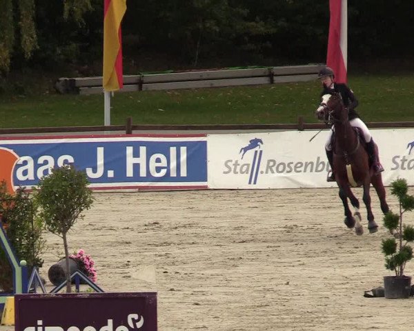 Reitturnier Westergellersen 2022