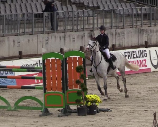 Reitturnier Westergellersen 2022