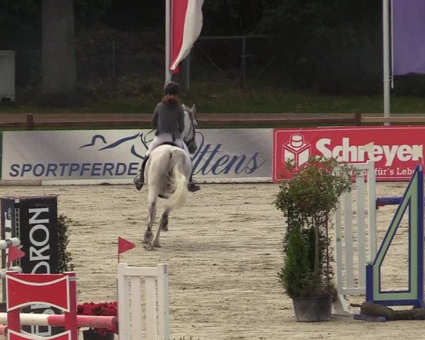 Reitturnier Westergellersen 2022