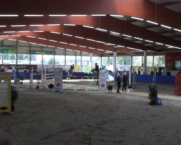 Reitturnier Isterberg Euregio Springturnier 2022