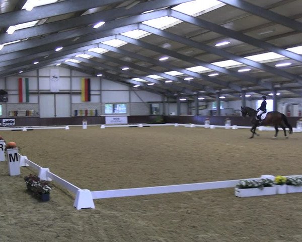 Reitturnier Kirchhellen 2022
