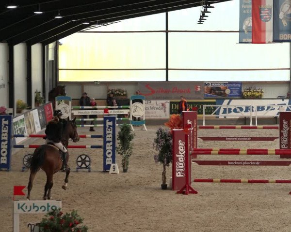 Reitturnier Borken 2022