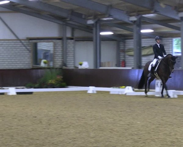 Reitturnier Kirchhellen 2022