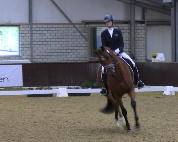 Reitturnier Kirchhellen 2022