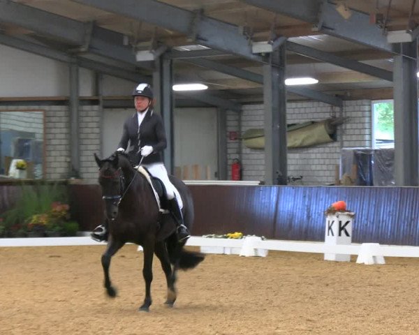Reitturnier Kirchhellen 2022