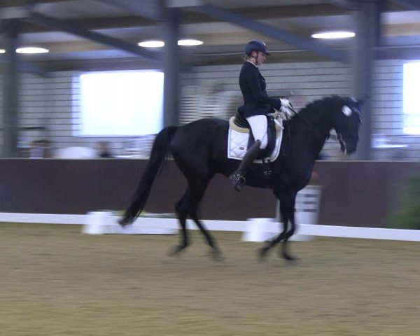 Reitturnier Kirchhellen 2022