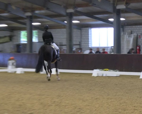 Reitturnier Kirchhellen 2022