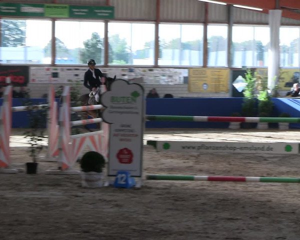 Reitturnier Isterberg Euregio Springturnier 2022