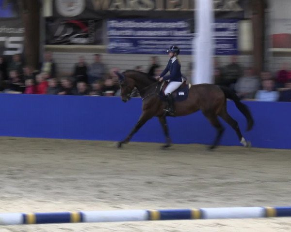 Reitturnier Isterberg Euregio Springturnier 2022