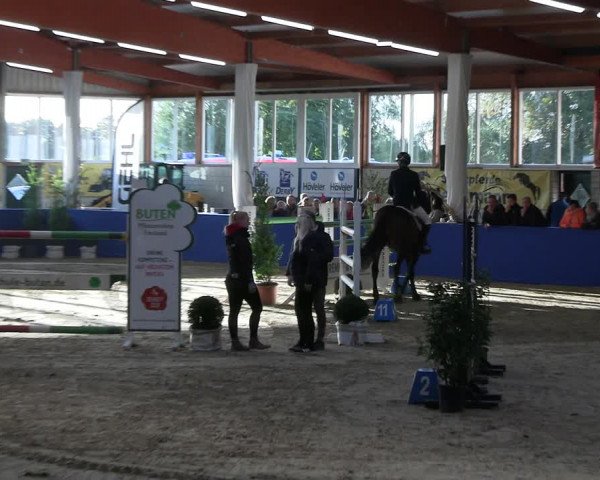 Reitturnier Isterberg Euregio Springturnier 2022