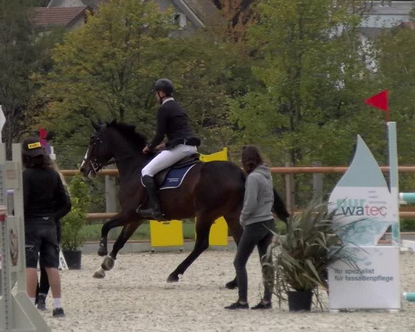 Reitturnier Felsberg 2022