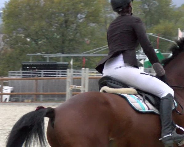 Reitturnier Felsberg 2022