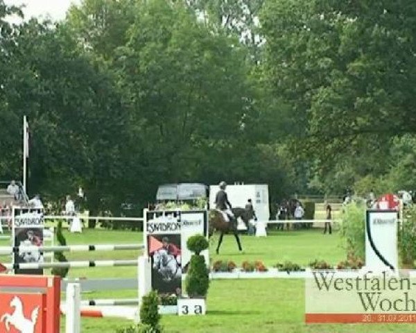 broodmare Crazy Diamond (Holsteiner, 2005, from Carinjo)